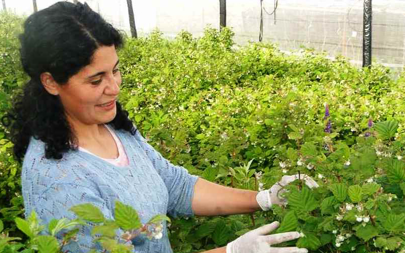 Proyecto que fortalece el emprendimiento en mujeres desarrollará centro CIELO