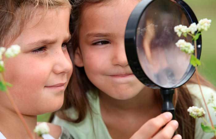 Más libros de ciencias y no de princesas